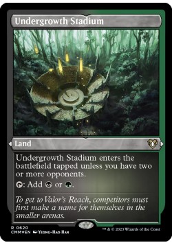 Undergrowth Stadium