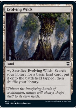 Evolving Wilds
