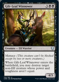 Gilt-Leaf Winnower