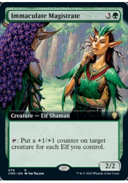 Immaculate Magistrate