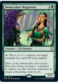 Immaculate Magistrate