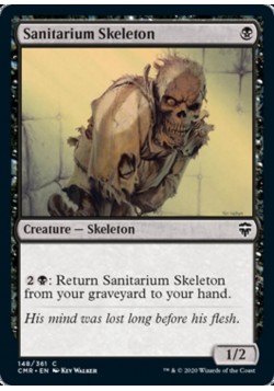 Sanitarium Skeleton