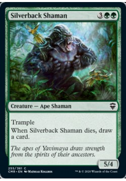 Silverback Shaman