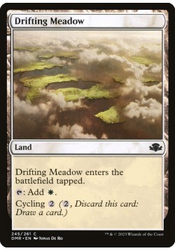 Drifting Meadow