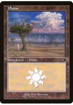 Plains