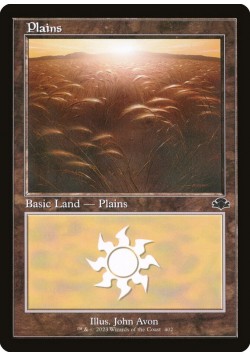 Plains