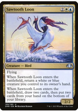 Sawtooth Loon