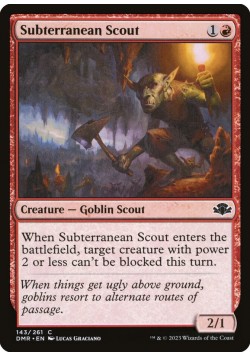 Subterranean Scout