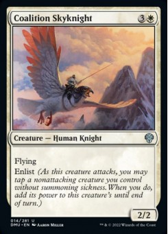 Coalition Skyknight