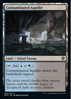 Contaminated Aquifer
