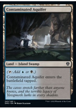 Contaminated Aquifer