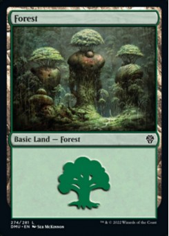 Forest