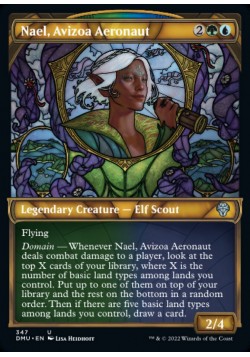 Nael, Avizoa Aeronaut