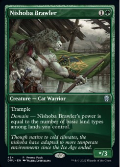 Nishoba Brawler