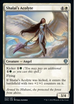 Shalai's Acolyte