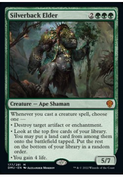 Silverback Elder