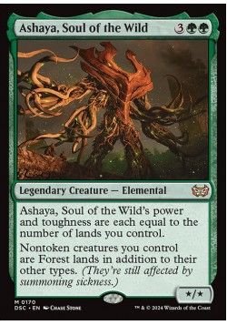 Ashaya, Soul of the Wild