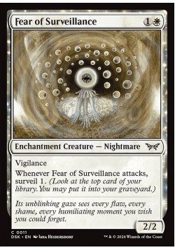 Fear of Surveillance