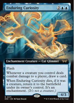 Enduring Curiosity