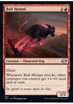 Bolt Hound