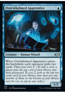 Overwhelmed Apprentice