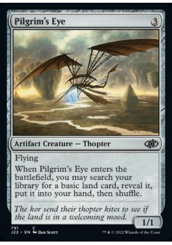 Pilgrim's Eye