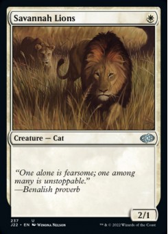 Savannah Lions
