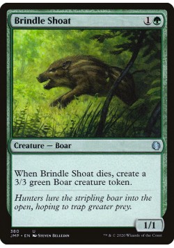 Brindle Shoat