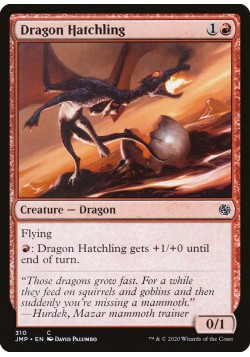 Dragon Hatchling