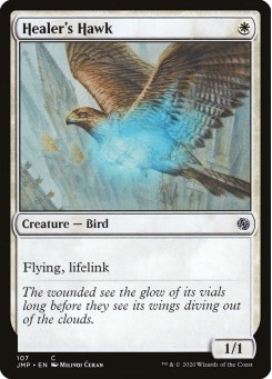 Healer's Hawk