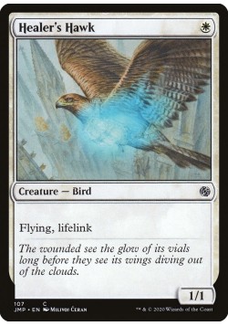 Healer's Hawk