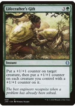 Lifecrafter's Gift