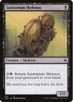 Sanitarium Skeleton