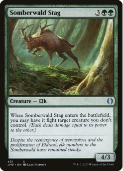 Somberwald Stag
