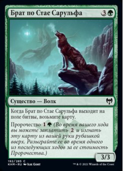 Брат по Стае Сарульфа