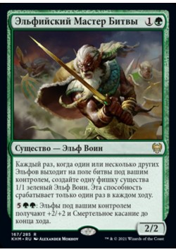 Эльфийский Мастер Битвы