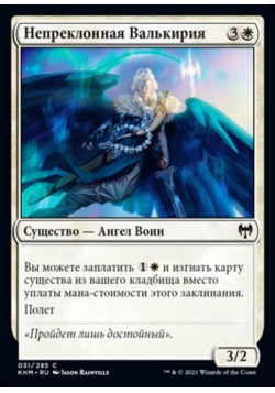 Непреклонная Валькирия