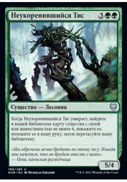 Неукоренившийся Тис