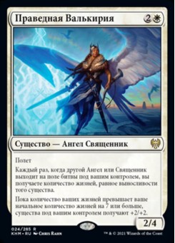 Праведная Валькирия