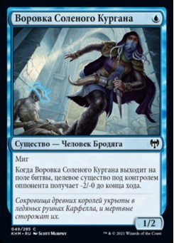 Воровка Соленого Кургана