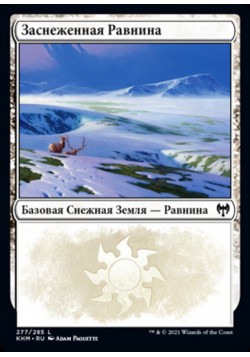 Заснеженная Равнина