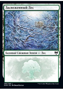 Заснеженный Лес