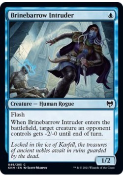 Brinebarrow Intruder