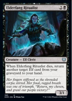 Elderfang Ritualist