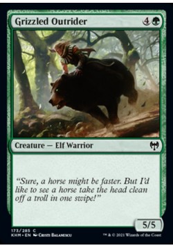 Grizzled Outrider