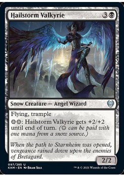 Hailstorm Valkyrie