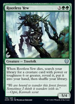 Rootless Yew