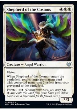 Shepherd of the Cosmos