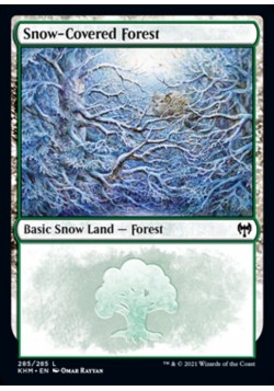 Snow-Covered Forest
