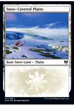 Snow-Covered Plains